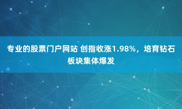 专业的股票门户网站 创指收涨1.98%，培育钻石板块集体爆发