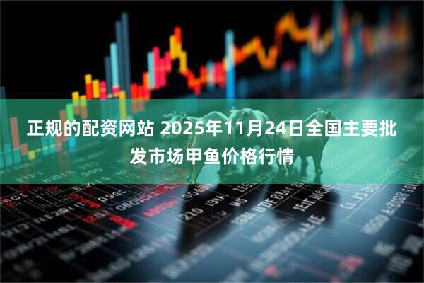 正规的配资网站 2025年11月24日全国主要批发市场甲鱼价格行情